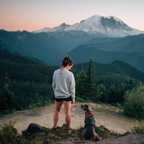 Meet your Posher, Lucy - Picture 1 of 1